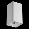 Накладной светильник Lightstar Monocco 052136 100_100_2120734