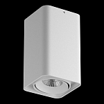 Накладной светильник Lightstar Monocco 052136 250_100_2120734
