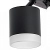 Светильник на штанге Lightstar Rullo R1T348780 100_100_1717976