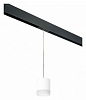 Подвесной светильник Lightstar Rullo PRORP348680 100_100_2460326