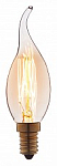 Лампа накаливания Loft it Edison Bulb E14 40Вт K 3540-GL 250_100_Array