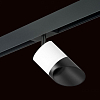 Светильник на штанге Lightstar Rullo PRO348687 100_100_1717865