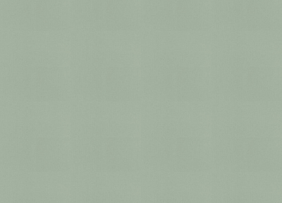 690743 Обои Rasch (1*12) 10,05x0,53 винил на флизелине 400_400_2148474