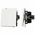 Выключатель двухклавишный без рамки Arlight SWT 054547 250_100_Array