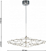 Подвесная люстра Favourite Thinner 4305-6P 100_100_1769257