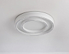 Накладной светильник Ambrella Light FL FL5821 100_100_2016309