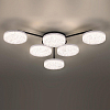 Потолочная люстра Lumion Didana 8236/6CL 100_100_1866780