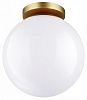 Накладной светильник Odeon Light Bosco 4248/1C 100_100_2450215