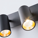 Бра Eurosvet Fleur 20066/2 LED черный/золото 250_100_2684265
