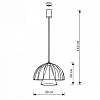Подвесной светильник Lighthall Iris LH012097 100_100_3114464