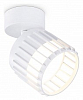 Спот Ambrella Light TN TN71157 100_100_2288920