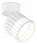 Спот Ambrella Light TN TN71157 250_100_Array