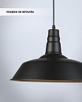 Подвесной светильник Seven Fires Kiarano WD3503/1P-BK-GD 250_100_2050636