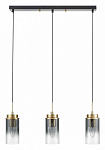 Подвесной светильник Lumion Isha 8101/3A 250_100_Array