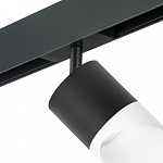 Светильник на штанге Lightstar Rullo PRO348786 250_100_1717906