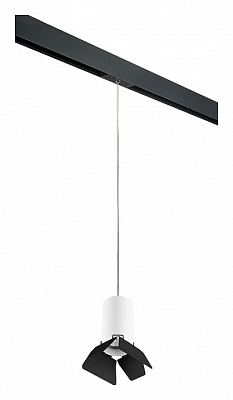 Подвесной светильник Lightstar Rullo PRORP436437 400_400_2460384