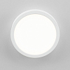 Накладной светильник Citilux Галс CL5522N 100_100_3147865