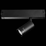 Светильник на штанге Lightstar Teta 205017R 250_100_1719830