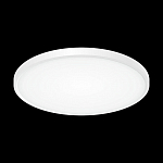 Накладной светильник Citilux Бейсик CL738400V 250_100_3148500