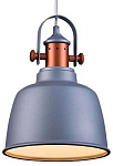 Подвесной светильник Lucia Tucci Industrial INDUSTRIAL 1820.1 SAND SILVER 250_100_Array
