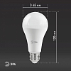 Лампа светодиодная Эра Стандарт E27 19Вт 2700K LED A65-19W-827-E27 100_100_2473942