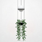 Подвесной светильник Imperiumloft Palma Wall Lamp 22.93727 250_100_Array