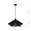 SLE6023-403-01 Светильник подвесной черный/черный E27 1*40W ГОННА 100_100_2954523