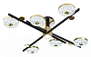 Потолочная люстра Escada Liberta 10219/6LED 100_100_2676225