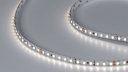 Лента светодиодная DesignLed DSG3120 00-00002764 250_100_2811019