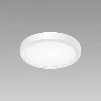 Накладной светильник Citilux Бейсик CL738120N 400_400_1686037