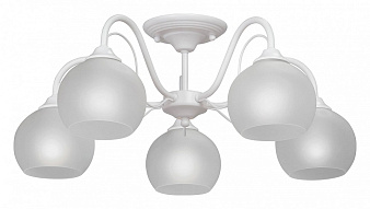 Люстра на штанге Vitaluce 3948 V3948-0/5PL 500_191_2424278