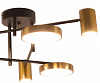 Потолочная люстра Kink Light Рапис 07645-6D,19(20) 100_100_1843792