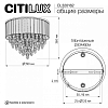 Потолочная люстра Citilux LEONNA CL320162 100_100_1380916