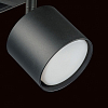 Светильник на штанге Lightstar Rullo PRO3487 100_100_1717872