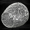 Люстра потолочная Lussole LSP-8720 100_100_1941047