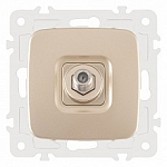ТВ-розетка без рамки Arte Milano am-205 205.42-1.shampan 250_100_Array