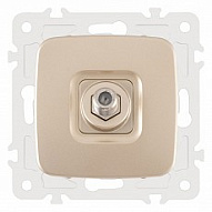 ТВ-розетка без рамки Arte Milano am-205 205.42-1.shampan 500_191_2302616
