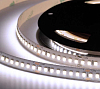 Лента светодиодная ELFLED  ELF-960SMD2835NWw-Xtr36 100_100_3238638