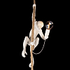 Подвесной светильник Loft it Monkey 10314P 100_100_1850312