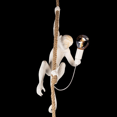 Подвесной светильник Loft it Monkey 10314P 400_400_1850312