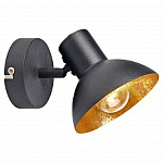 Спот Lussole LSP-9973 250_100_Array