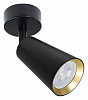 Спот Arte Lamp Cintura A2353PL-1BK 100_100_1824851