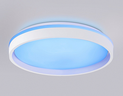 Накладной светильник Ambrella Light FZ FZ607 400_400_2181241