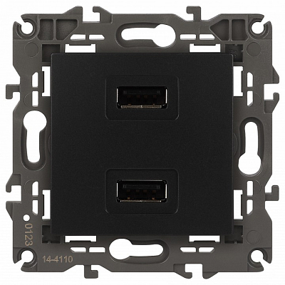 Розетка 2хUSB type A без рамки Эра Эра Elegance 14-4110-05 400_400_2400897