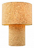 Настольная лампа Lussole LSP-0821 100_100_2273578