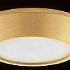 Накладной светильник Lightstar Urbano mini 214732 100_100_1717827
