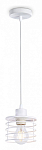 Подвесной светильник Ambrella Light TR TR8065 250_100_2015474