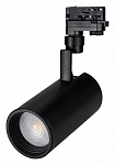 Светильник на штанге Arlight ZEUS FOOD 032455 250_100_1890937
