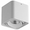 Накладной светильник Lightstar Monocco 212516 100_100_1711485