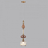 Подвесной светильник Odeon Light Terra 5414/1C 100_100_1730893